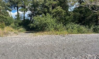 Casa en Venta en Ñilque