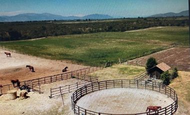 Agrícola en Venta en COLCAHGUA
