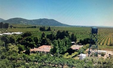 Agrícola en Venta en COLCAHGUA