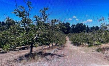 Agrícola en Venta en COLCAHGUA