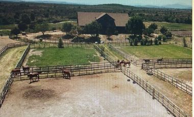 Agrícola en Venta en COLCAHGUA