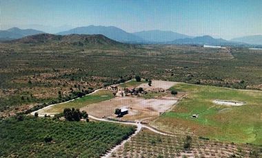 Agrícola en Venta en COLCAHGUA
