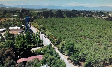 Agrícola en Venta en COLCAHGUA