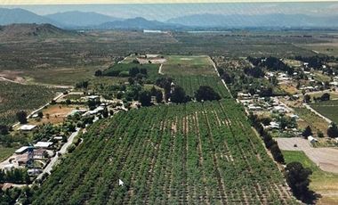 Agrícola en Venta en COLCAHGUA