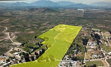 Agrícola en Venta en COLCAHGUA