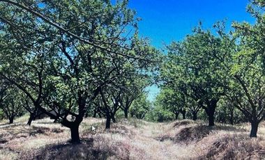 Agrícola en Venta en COLCAHGUA