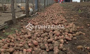 Casa en Venta en Camino Nahueltoro