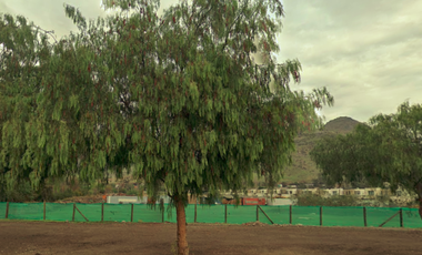 Sitio en Venta en Avenida del Valle -Alba I