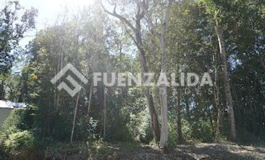 Parcela en Venta en A 4 minutos de Nueva Braunau