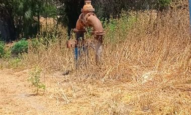 Agrícola en Venta en Comuna Til Til