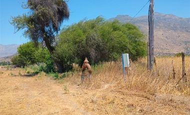 Agrícola en Venta en Comuna Til Til