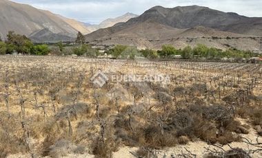 Parcela en Venta en Encanto de Elqui