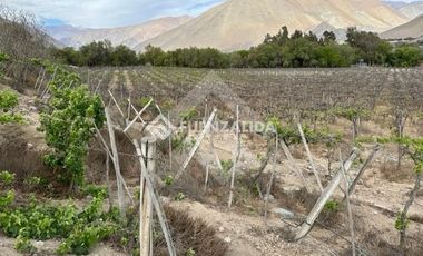 Parcela en Venta en Encanto de Elqui