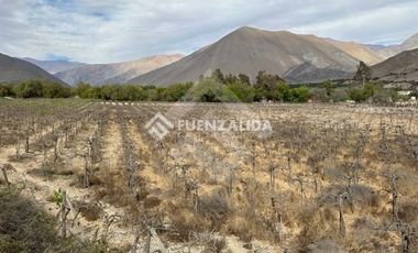 Parcela en Venta en Encanto de Elqui