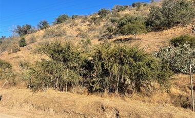 Parcela en Venta en Sector Los Canelos de Miraflores