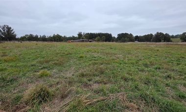 Parcela en Venta en Cruce Longitudinal (Chifca) - Maile - Trafún