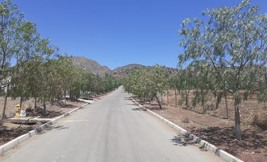 Sitio en Venta en cercano a santa teresa