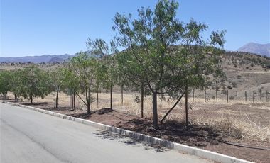 Sitio en Venta en cercano a santa teresa