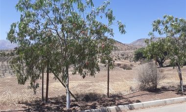 Sitio en Venta en cercano a santa teresa