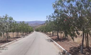 Sitio en Venta en cercano a santa teresa