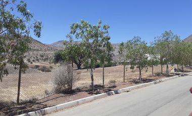 Sitio en Venta en cercano a santa teresa