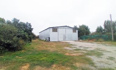 Agrícola en Venta en PERALILLO