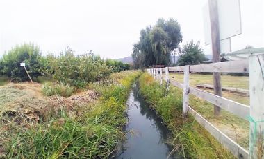 Agrícola en Venta en PERALILLO