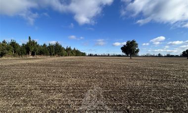 Agrícola en Venta en Camino San Luis-Chacayal