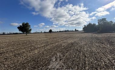 Agrícola en Venta en Camino San Luis-Chacayal