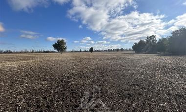 Agrícola en Venta en Camino San Luis-Chacayal