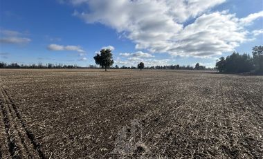 Agrícola en Venta en Camino San Luis-Chacayal