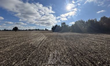Agrícola en Venta en Camino San Luis-Chacayal
