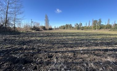 Agrícola en Venta en Camino San Luis-Chacayal