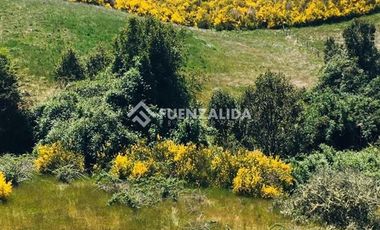 Sitio en Venta en Rio El Peñol