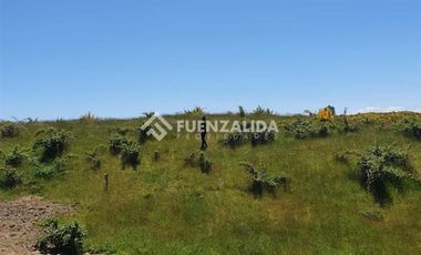Sitio en Venta en Rio El Peñol