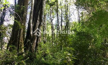 Sitio en Venta en Llicaldad