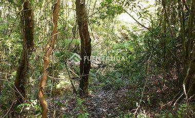 Sitio en Venta en Llicaldad