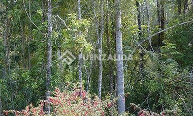 Sitio en Venta en Llicaldad