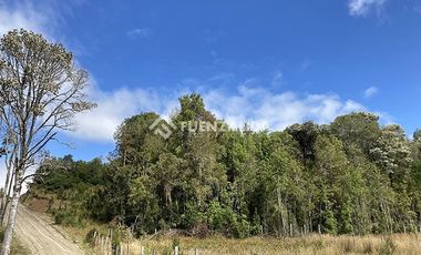 Sitio en Venta en Llicaldad