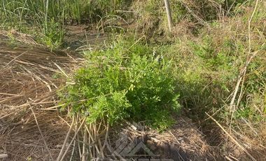 Parcela en Venta en QUICHARCO