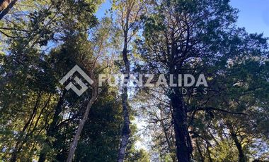 Casa en Venta en Condominio Altos de Pangal