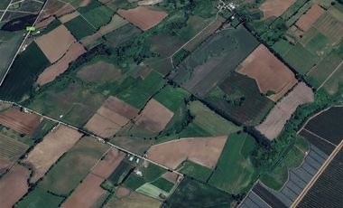 Agrícola en Venta en Longavi