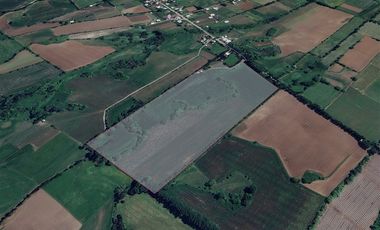 Agrícola en Venta en Longavi