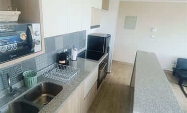 Departamento en Arriendo en Departamento en Canal Beagle