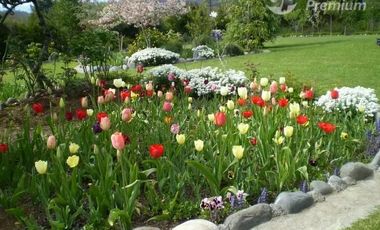 Casa en Venta en Ruta S-91 Entre Condominio Los Nogales y Estadio Ñancul