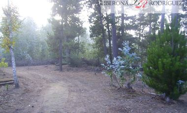 Parcela en Venta en Terreno en zona productiva portuaria de Placilla
