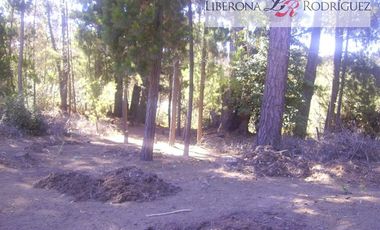 Parcela en Venta en Terreno en zona productiva portuaria de Placilla