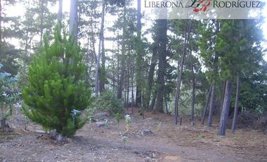 Parcela en Venta en Terreno en zona productiva portuaria de Placilla