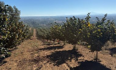 Agrícola en Venta en Gorbea