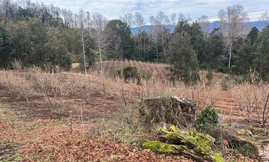 Agrícola en Venta en Gorbea